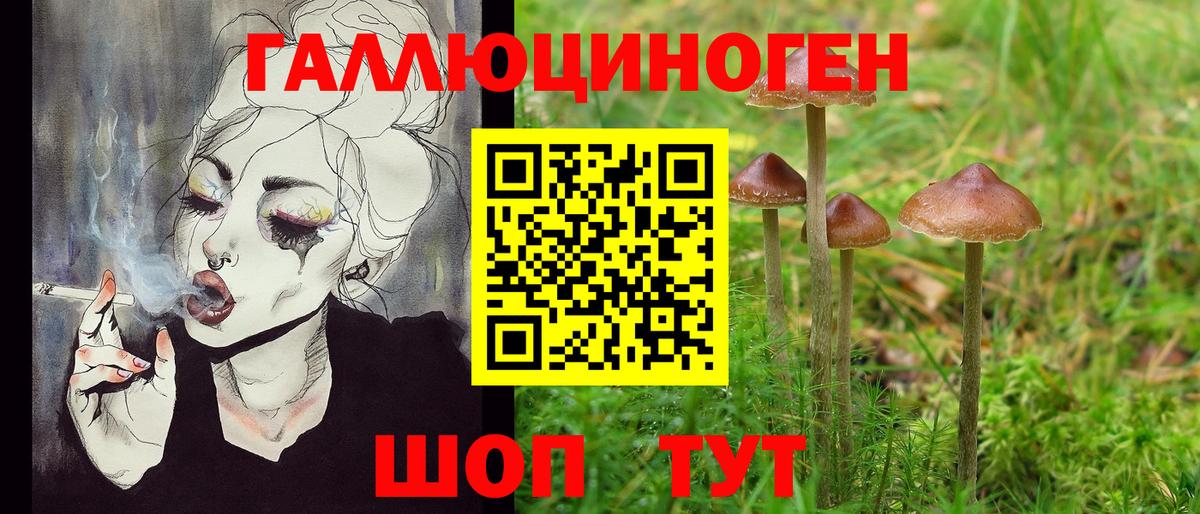 Кировск  Галлюциногенные грибы Psilocybine cubensis  Вход с VPN  Псилоцибиновые грибы MAGIC MUSHROOMS 
