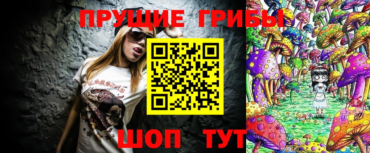 Псилоцибиновые грибы мицелий Кировск